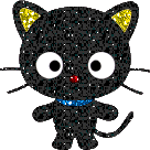 animals black cat image