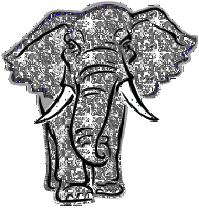 animals elephant image