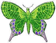 butterfly green glitter butterfly image