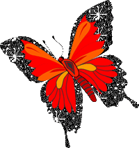 butterfly red butterfly image