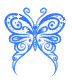 butterfly tiny blue butterfly image
