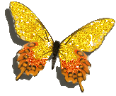 butterfly yellow glitter butterfly image